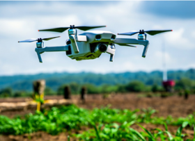 Professionisti in ambito Agrario - F & C